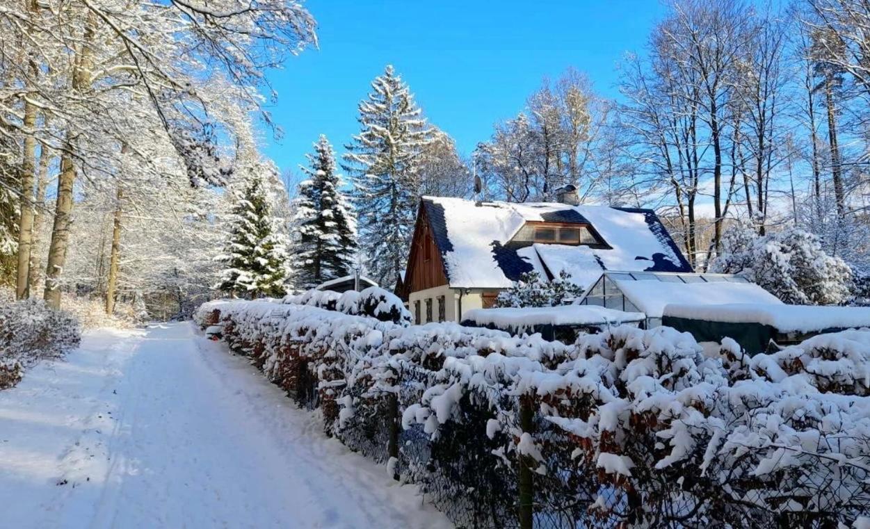 Ferienhaus Jaegerhaus Oppach Privathaus Екстериор снимка